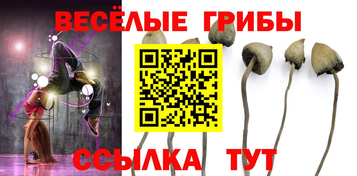 Псилоцибиновые грибы ЛСД Пыть-Ях